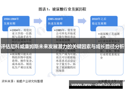 评估尼科威廉姆斯未来发展潜力的关键因素与成长路径分析