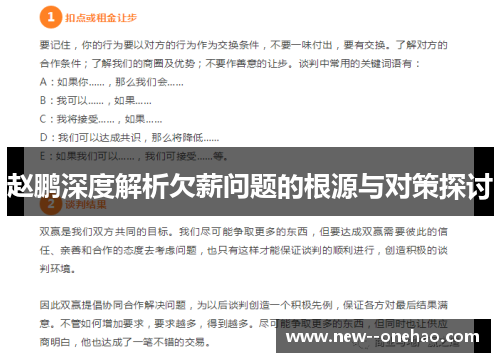 赵鹏深度解析欠薪问题的根源与对策探讨