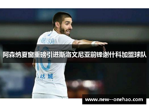 阿森纳夏窗重磅引进斯洛文尼亚前锋谢什科加盟球队 阿森纳夏窗重磅引进斯洛文尼亚前锋谢什科加盟球队